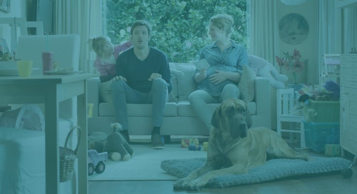 Gezin veiligheid en preventie. De grootste risico's en tips om schade te voorkomen of beperken,