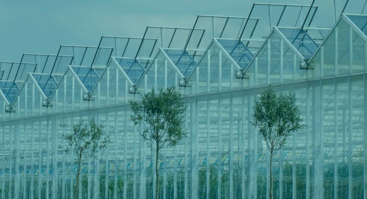 Glastuinbouw veiligheid en preventie. De grootste risico's en tips om schade te voorkomen of beperken,
