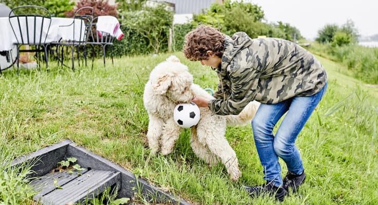 Jongentje speelt met hond en een bal in de tuin. Met de aansprakelijkheidsverzekering van Interpolis verzekert u de financiële gevolgen van schade aan anderen.