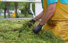 Een persoon zit op zijn knieën op een groen dak en zorgt dat de sedumplantjes in een goede conditie blijven.