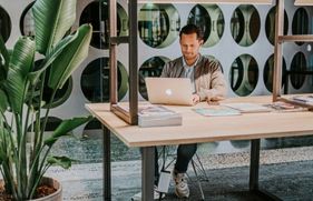 Man zit achter een MacBook aan een tafel, naast een grote plant