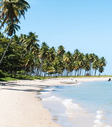 Een wit strand met palmbomen op een tropische vakantiebestemming
