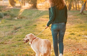 Vrouw die met haar hond in de natuur aan het wandelen is
