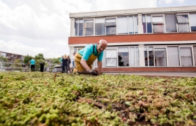 Man legt een groen dak op de achtergrond kijken mensen wat hij doet.