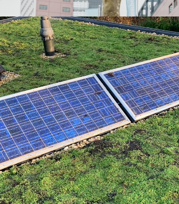 Zonnepanelen op een groen dak