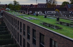 Een groen dak met zonnepanelen