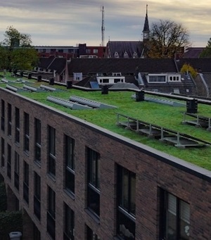 Een groen dak met zonnepanelen