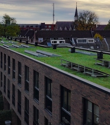 Een groen dak met zonnepanelen