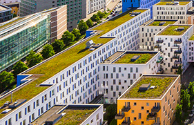 Groene daken - Zo houd je hoofd en huis koel als de temperatuur stijgt