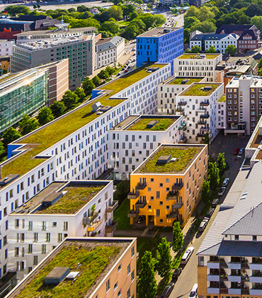 Groene daken - Zo houd je hoofd en huis koel als de temperatuur stijgt