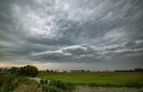 Een Nederlands weidelandschap met op de achtergrond dreigende, donkere wolkenluchten.