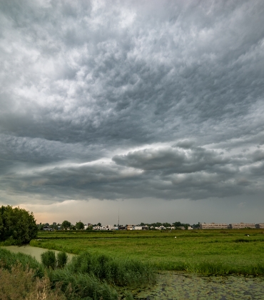 Een Nederlands weidelandschap met op de achtergrond dreigende, donkere wolkenluchten.