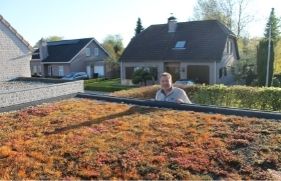 Lachende man bij groen dak