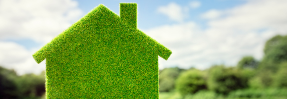 Groen, groener, groenst, veranderen volhouden