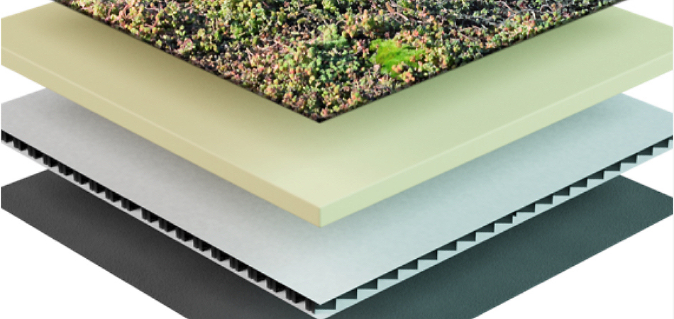 De verschillende lagen van een groen dak gevisualiseerd