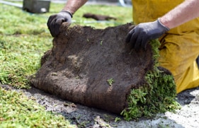 Een man die bezig is met de aanleg van een groen dak 