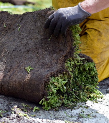 Een man die bezig is met de aanleg van een groen dak 