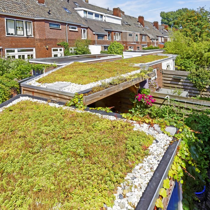 Garages met groene daken in een woonwijk.